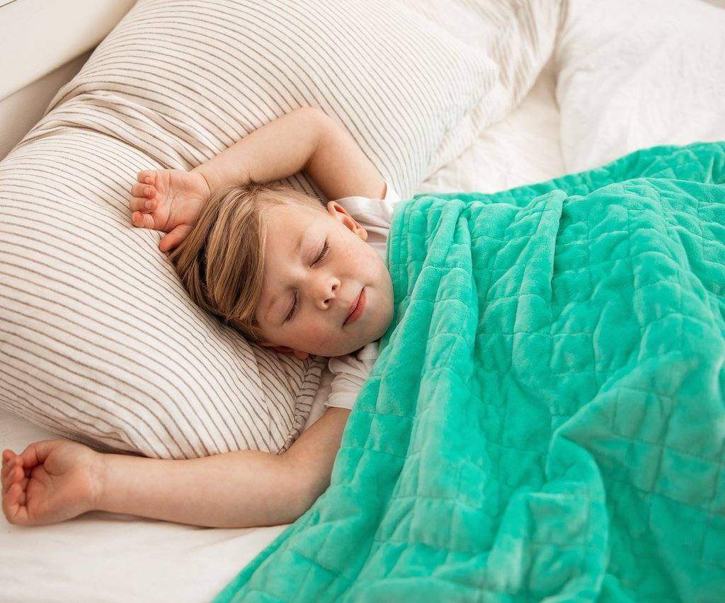 Minky Square Weighted Blanket Minky Square Weighted Blanket - Koala Comforts