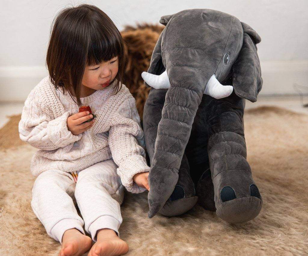 Weighted Toy Cuddle Companion Weighted Toy Cuddle Companion - Koala Comforts