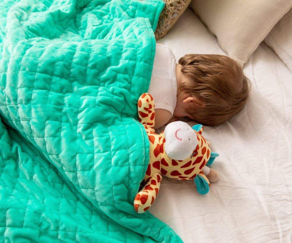 Weighted Toy Cuddle Companion Weighted Toy Cuddle Companion - Koala Comforts