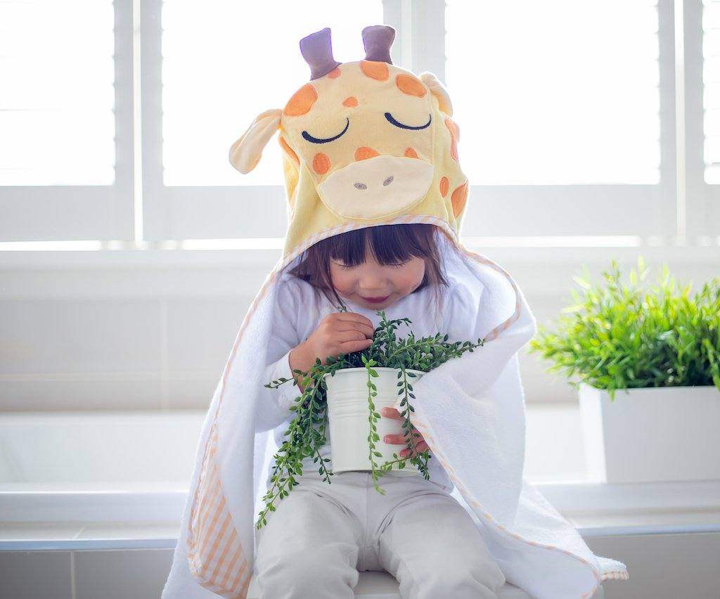 Hooded Baby Towels - Koala Comforts 