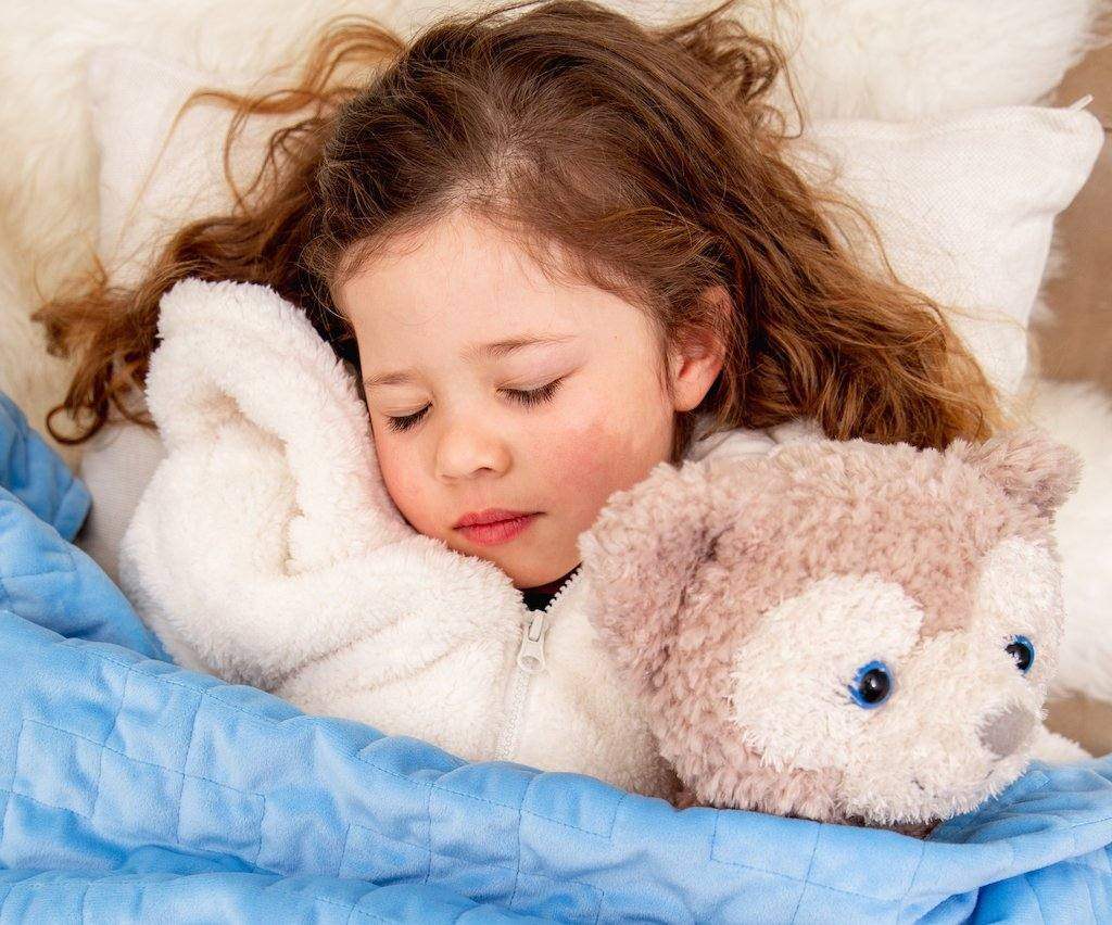 Weighted Toy Cuddle Companion - Koala Comforts 