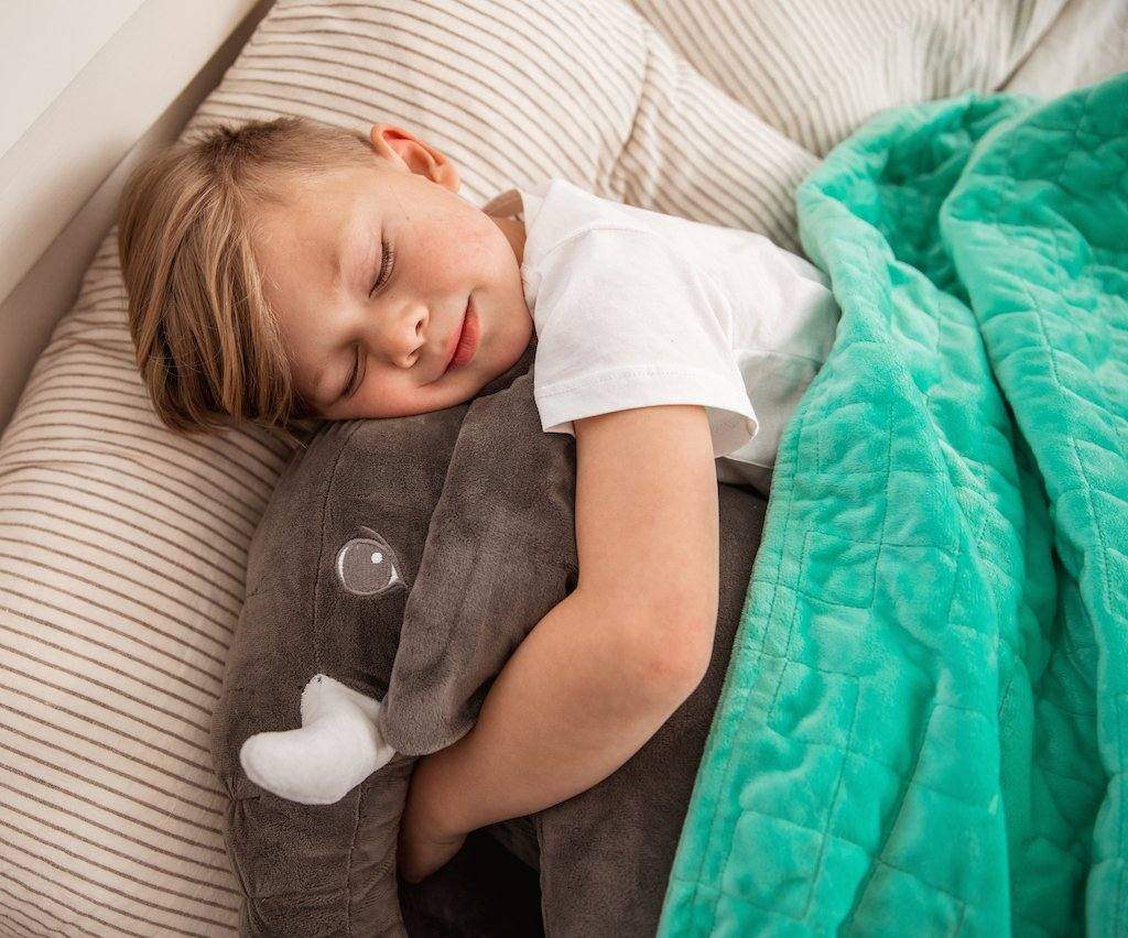 Weighted Toy Cuddle Companion - Koala Comforts 