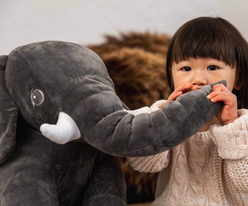 Weighted Toy Cuddle Companion - Koala Comforts 